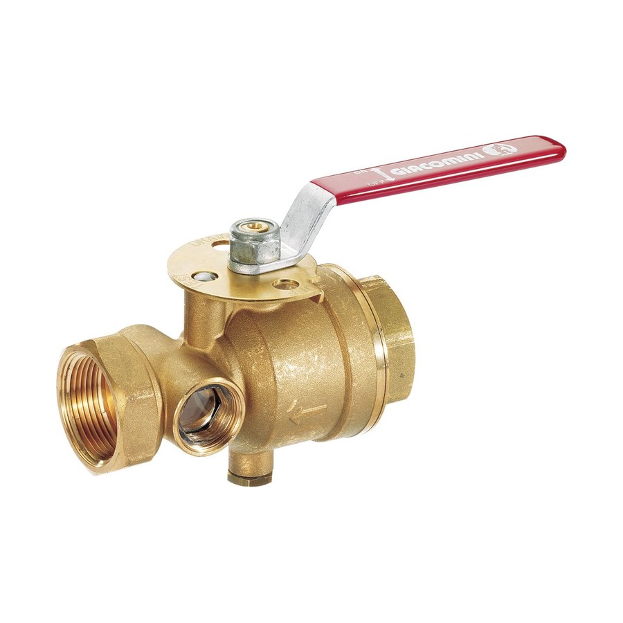Test & drain valve